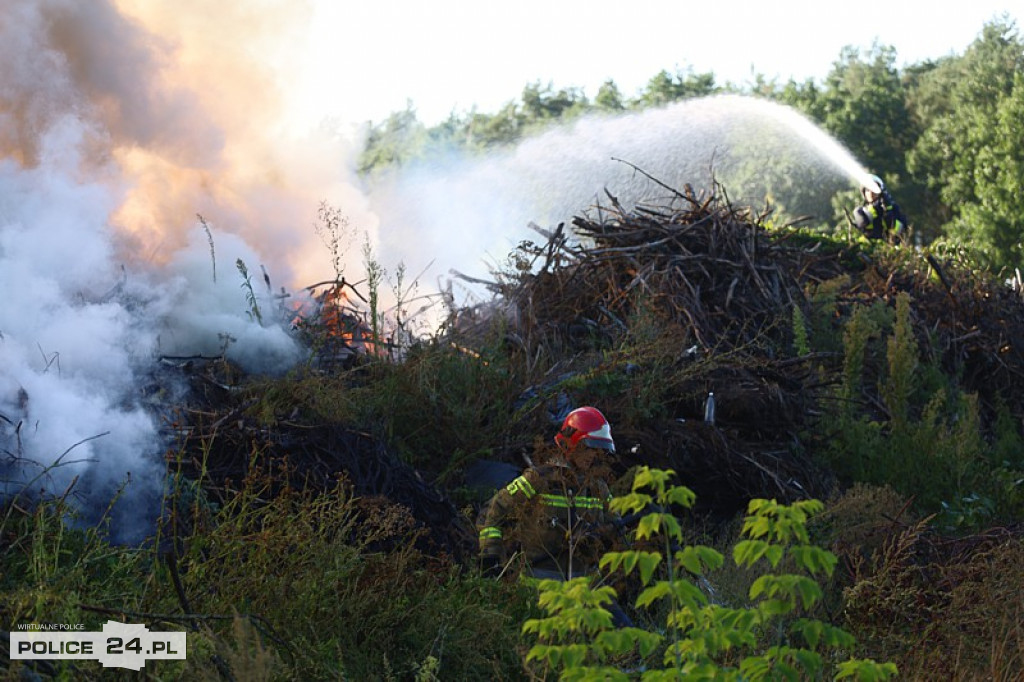 Pożar składowiska gałęzi w okolicy Trzeszczyna