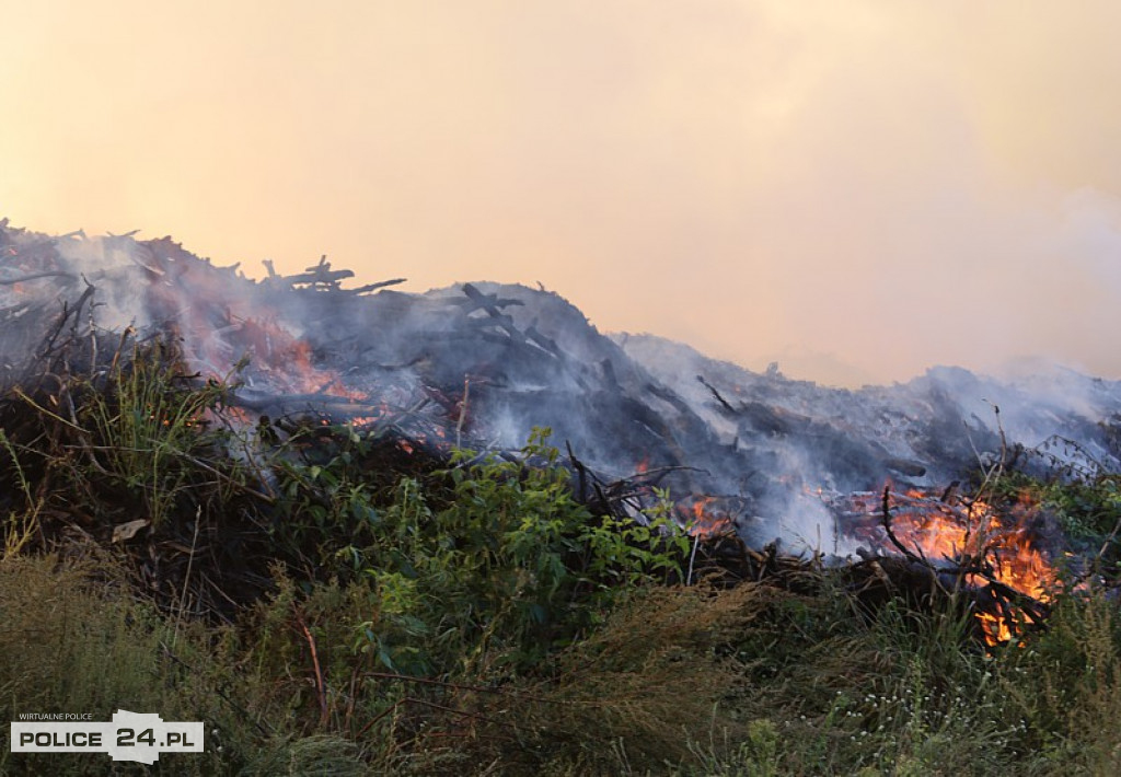 Pożar składowiska gałęzi w okolicy Trzeszczyna