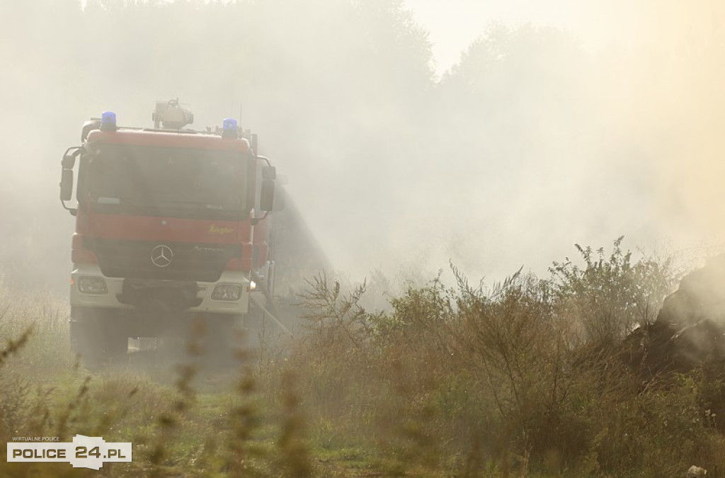 Pożar składowiska gałęzi w okolicy Trzeszczyna