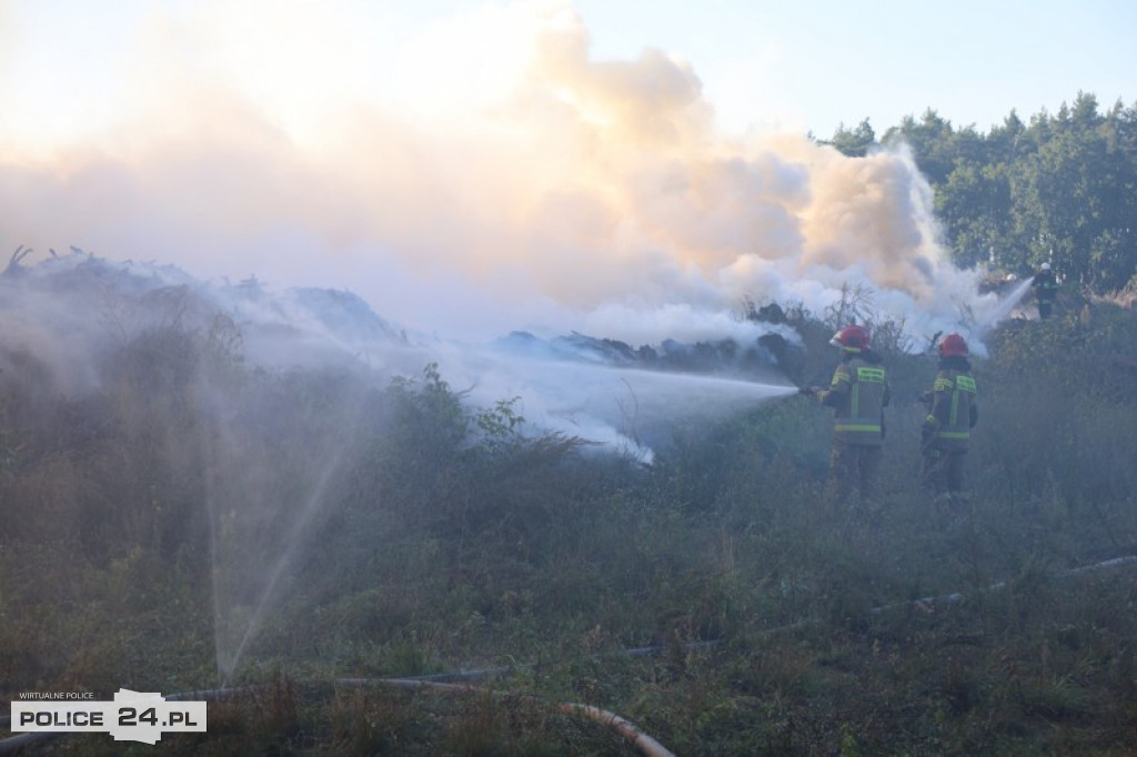 Pożar składowiska gałęzi w okolicy Trzeszczyna