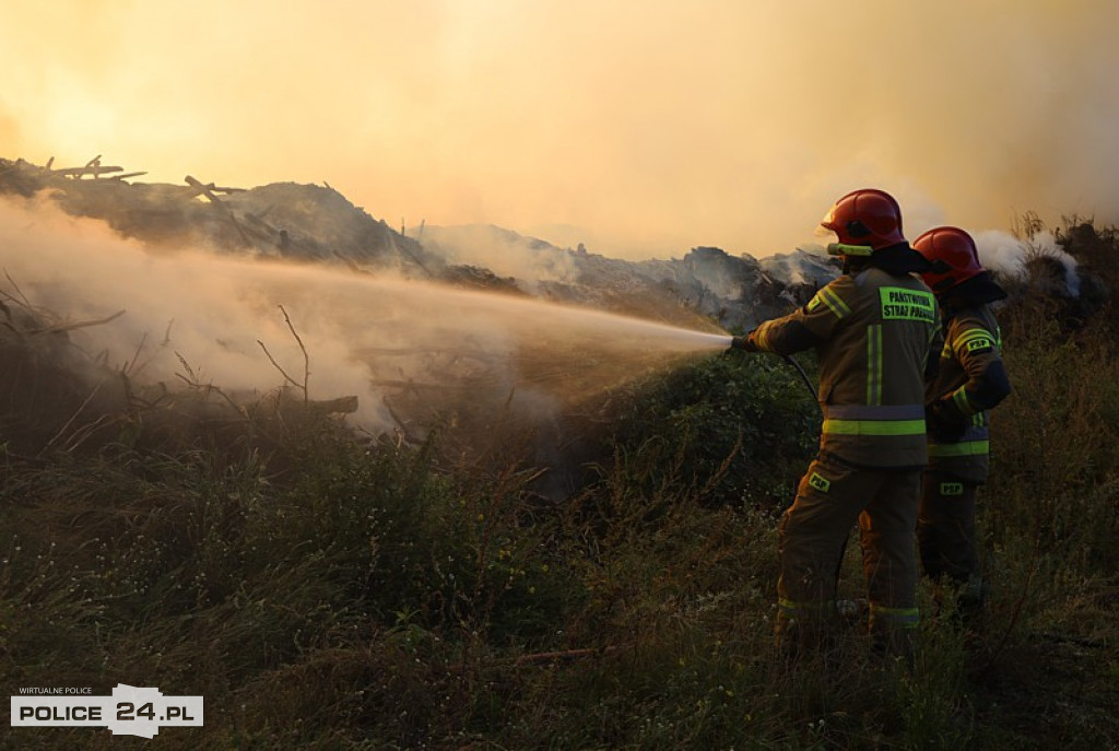 Pożar składowiska gałęzi w okolicy Trzeszczyna