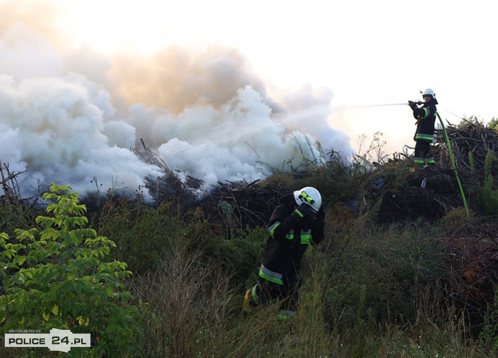 Pożar składowiska gałęzi w okolicy Trzeszczyna