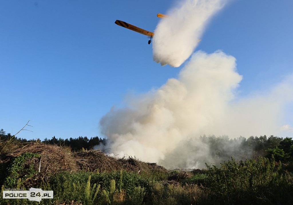 Pożar składowiska gałęzi w okolicy Trzeszczyna