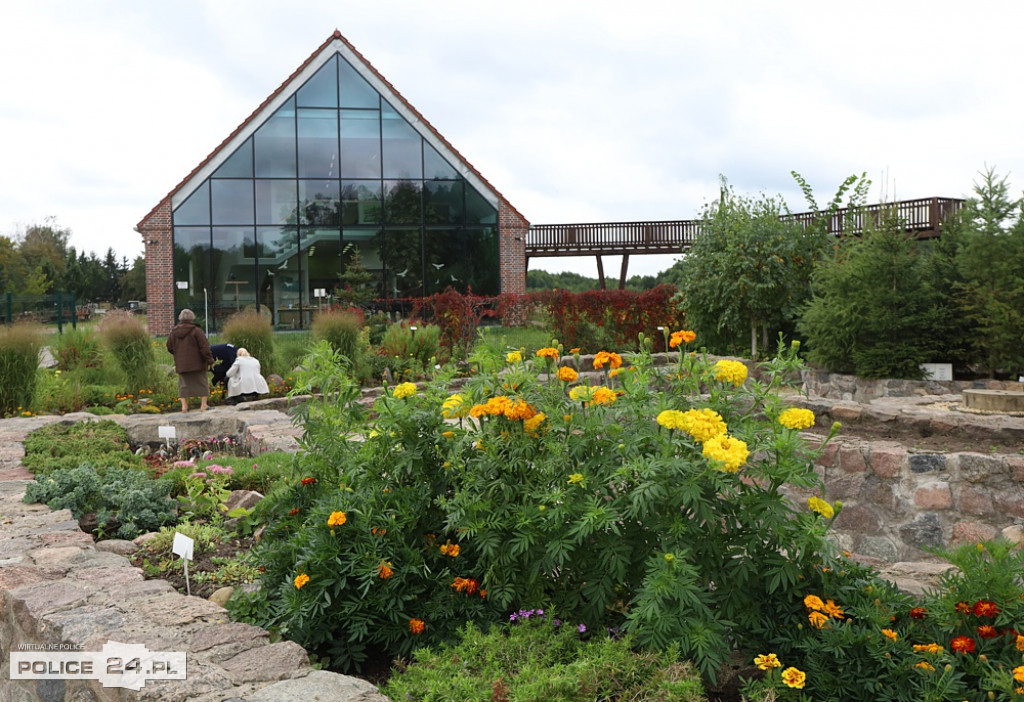 Urodziny TOEE w Zalesiu