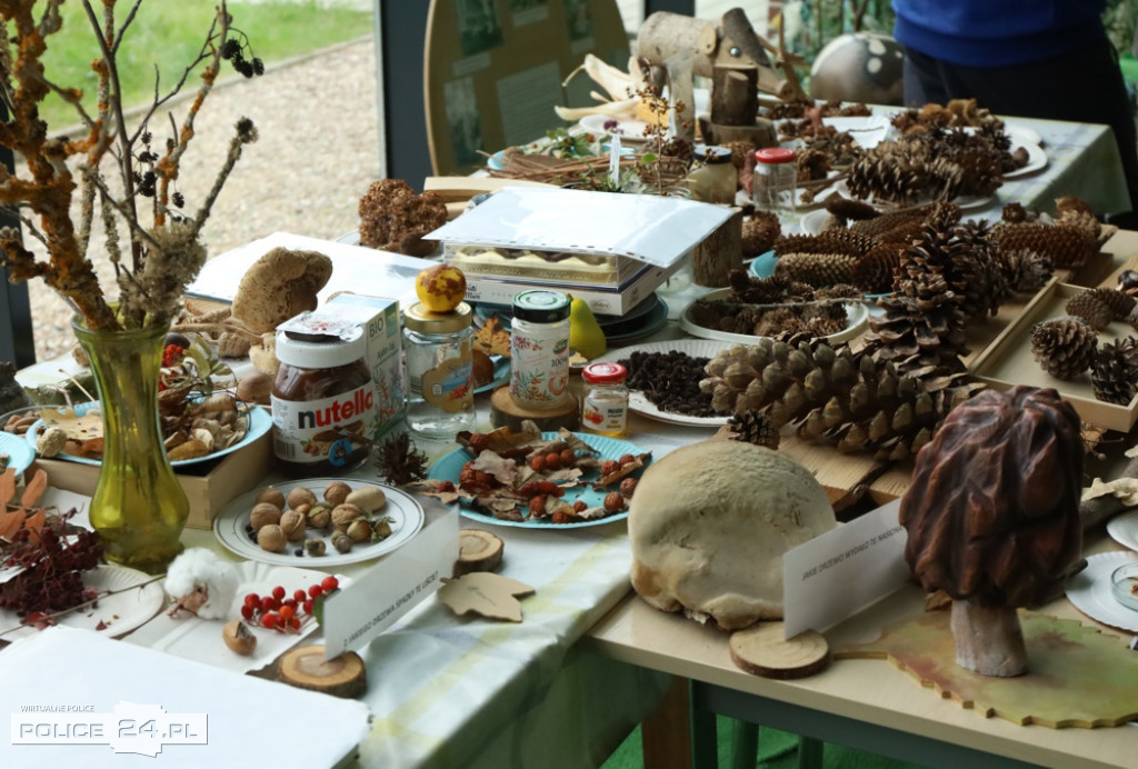 Urodziny TOEE w Zalesiu