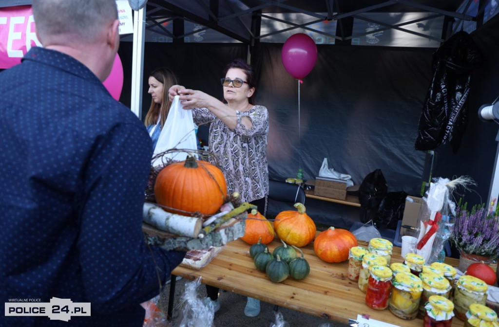 Festyn z Ingą na Jasnych Błoniach w Szczecinie