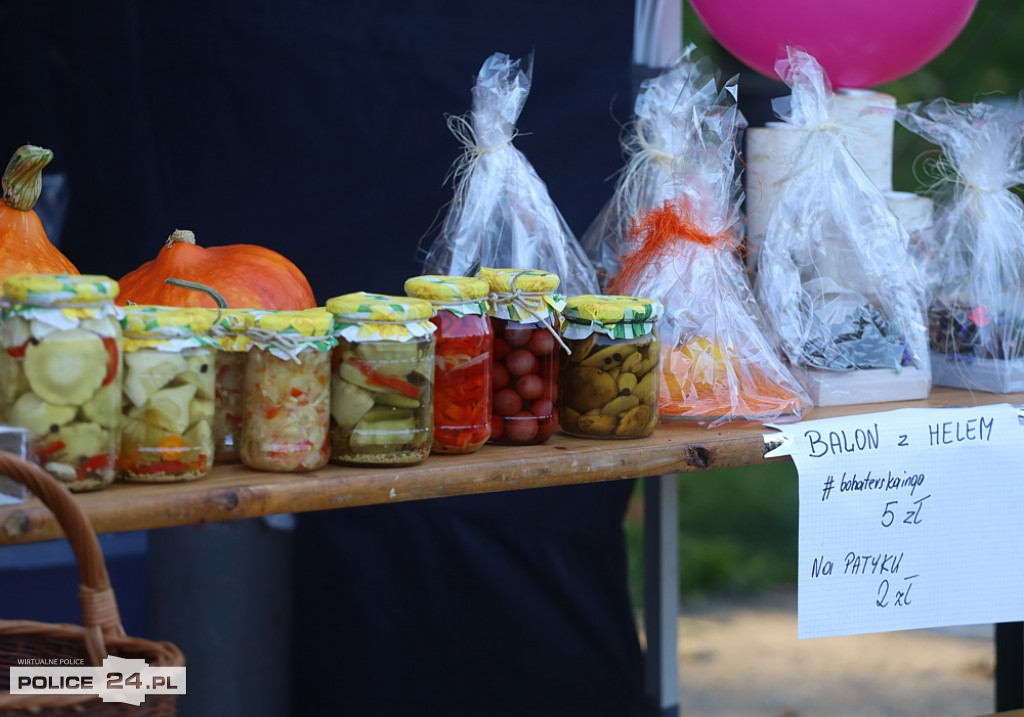 Festyn z Ingą na Jasnych Błoniach w Szczecinie