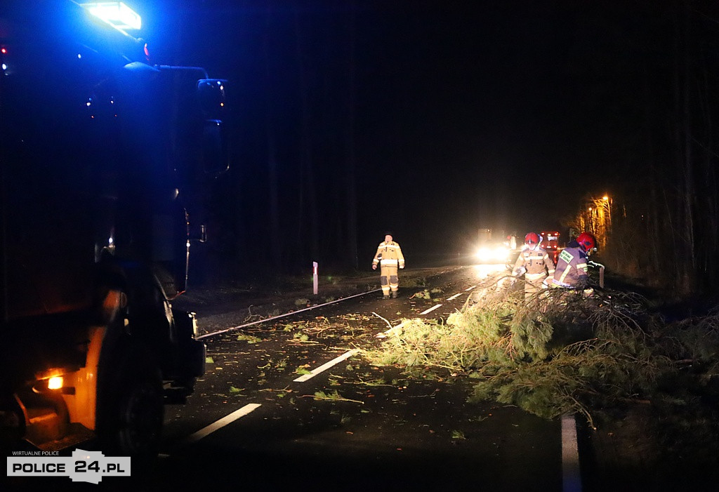 Potężna wichura w regionie. Połamane drzewa, pozrywane linie