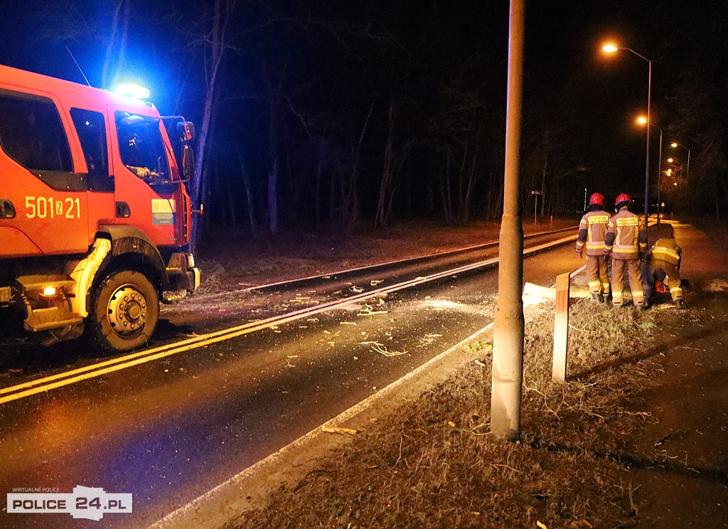 Potężna wichura w regionie. Połamane drzewa, pozrywane linie
