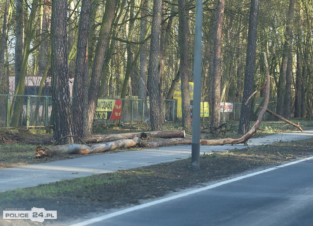 Potężna wichura w regionie. Połamane drzewa, pozrywane linie