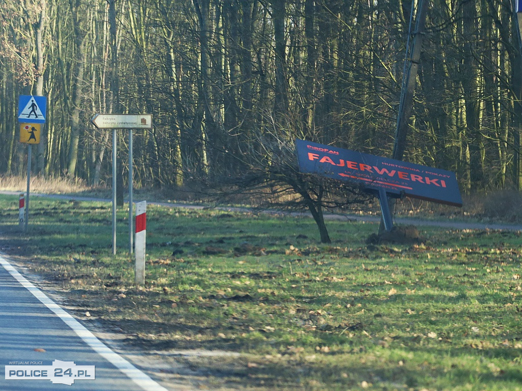 Potężna wichura w regionie. Połamane drzewa, pozrywane linie