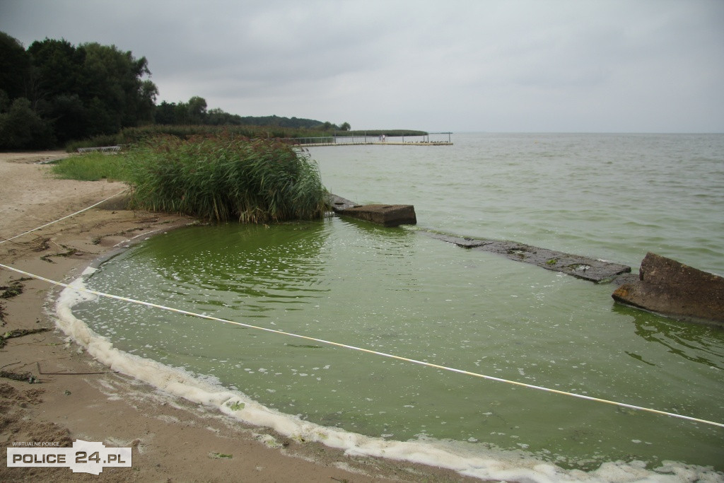 Pusto na plaży w Trzebieży. Czerwona flaga, sinice
