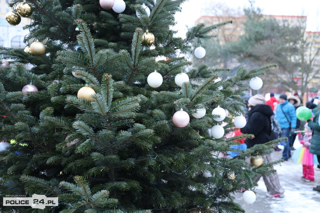 Zabawa karnawałowa, rozbieranie choinki, postacie z bajek i filmów