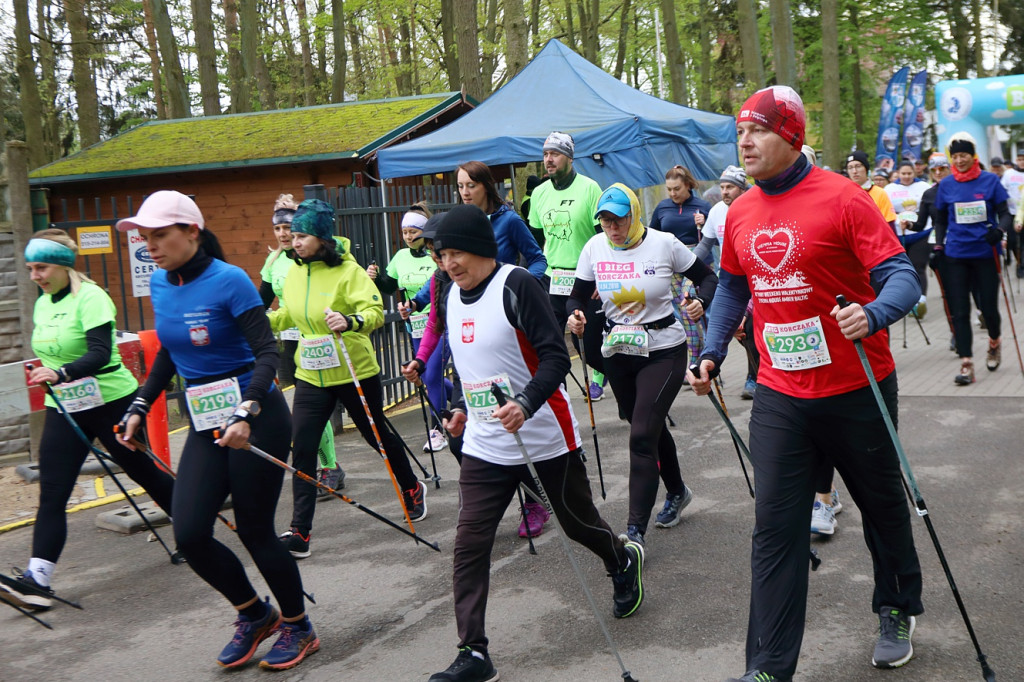 5 Bieg Korczaka. Marsz Nordic Walking