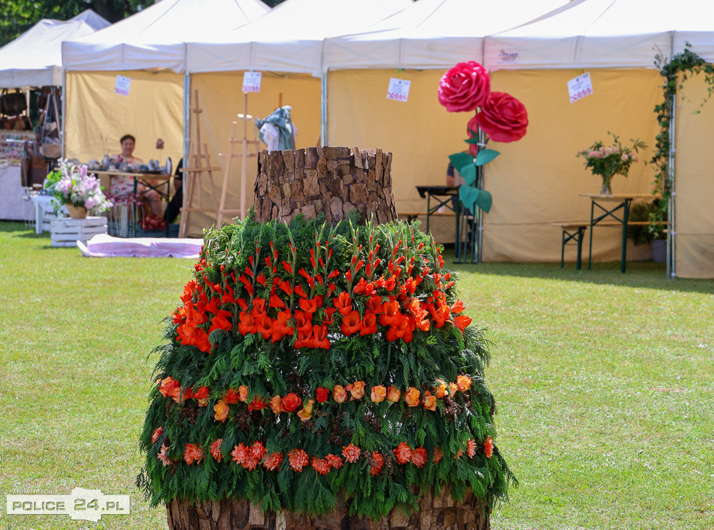 Festiwal Róż w Dobrej