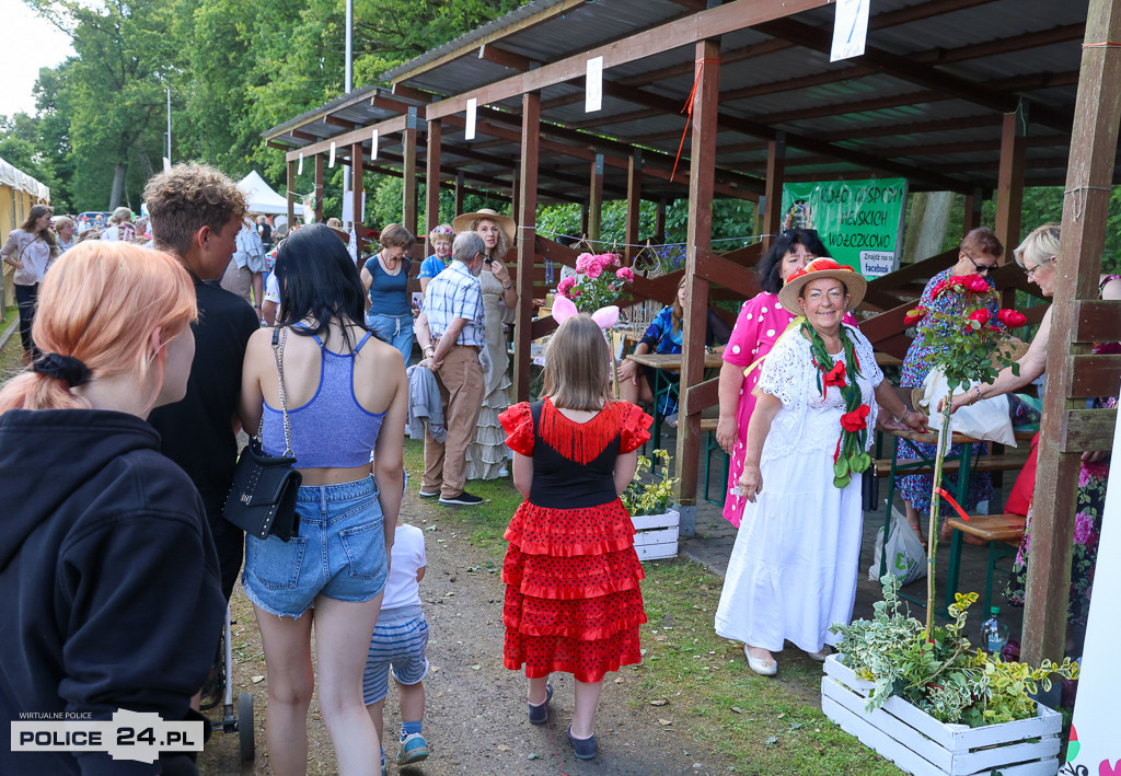 Festiwal Róż w Dobrej