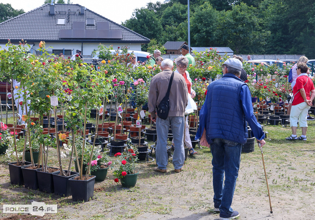 Festiwal Róż w Dobrej