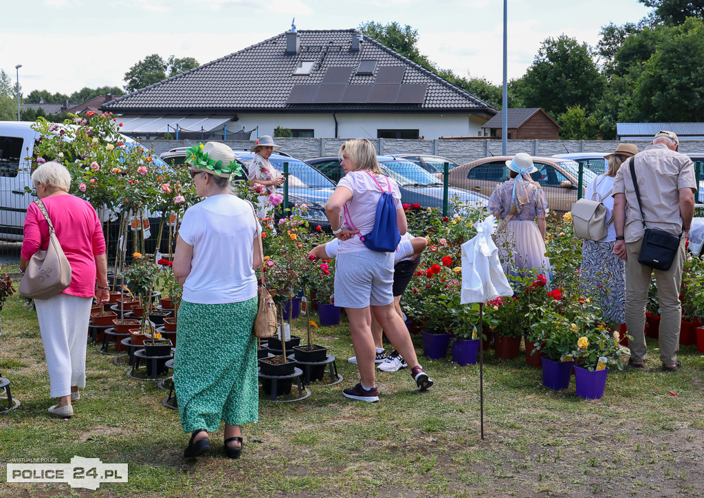 Festiwal Róż w Dobrej