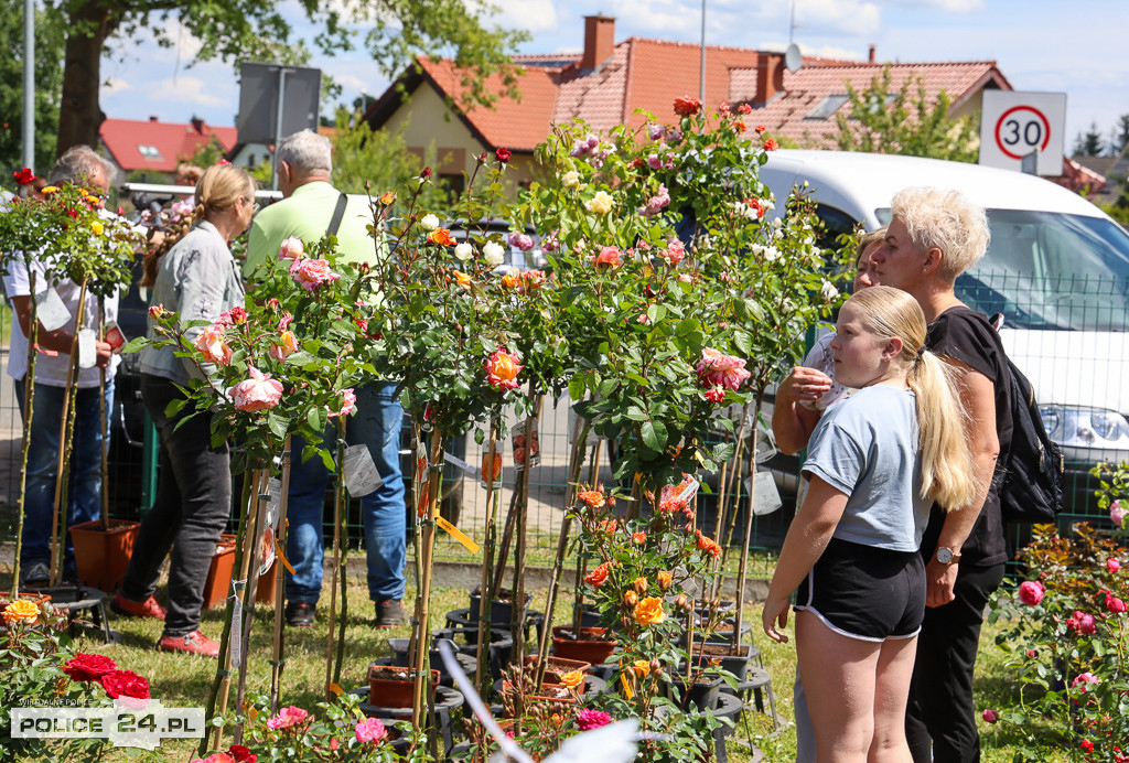 Festiwal Róż w Dobrej