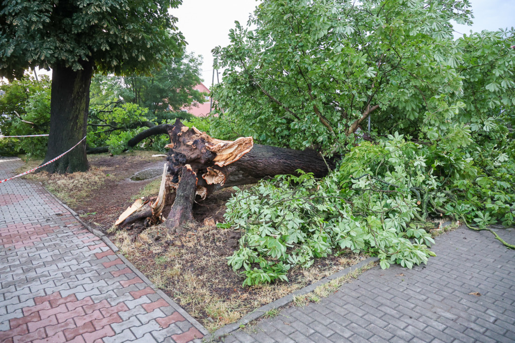 Strażacy usuwali skutki nawałnicy [foto]