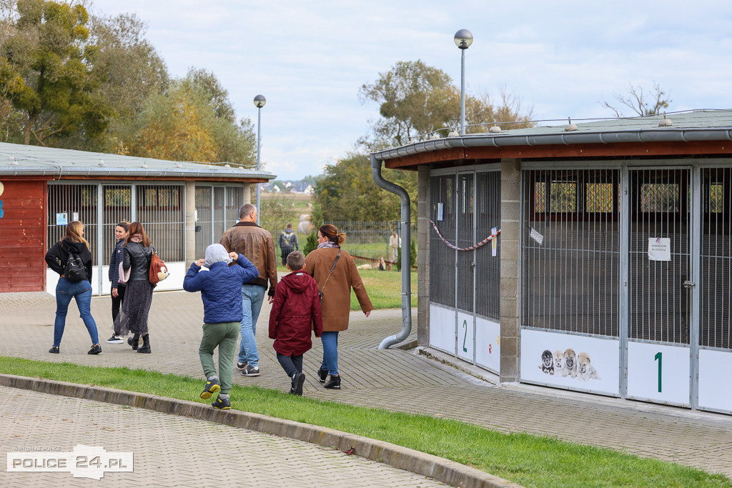 Dzień Psiaka i Kociaka w Schronisku w Dobrej