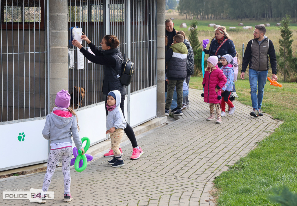 Dzień Psiaka i Kociaka w Schronisku w Dobrej