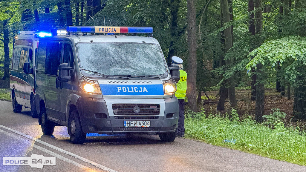 Siedlice. Samochód osobowy uderzył w drzewo