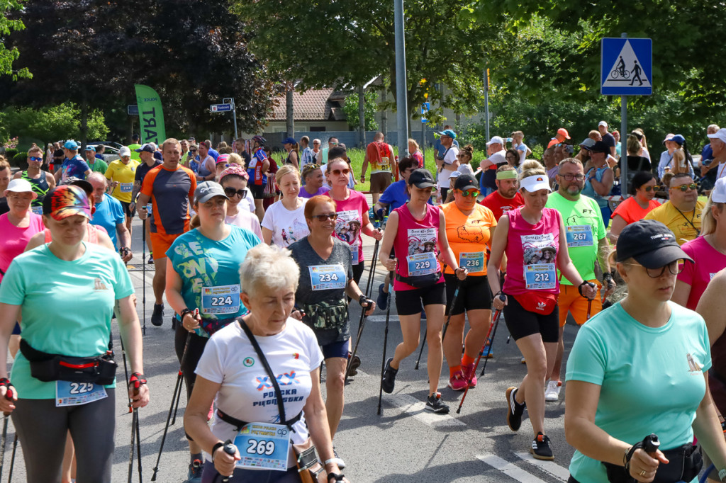 XXXVI Policka Piętnastka - Nordic Walking