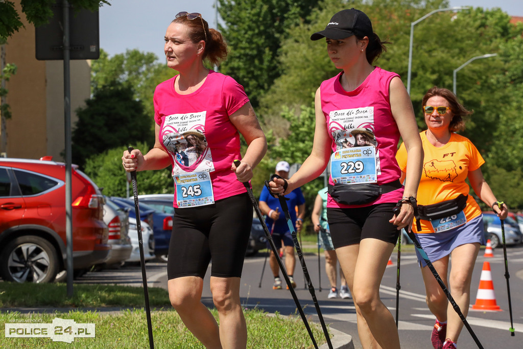 XXXVI Policka Piętnastka - Nordic Walking