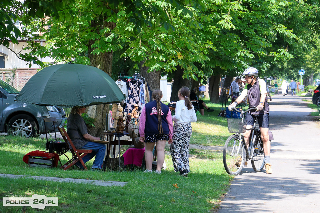 Festiwal Sztuki Pod Drzewami w Niekłończycy