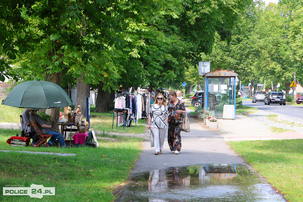 Festiwal Sztuki Pod Drzewami w Niekłończycy