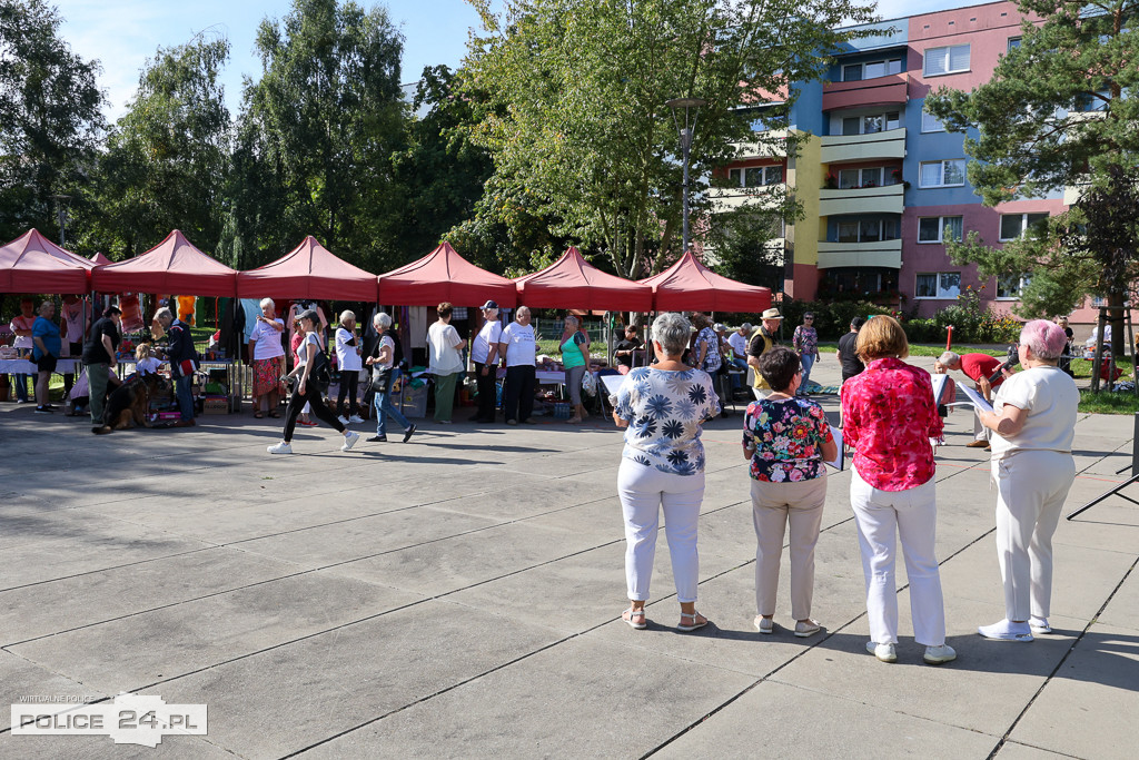 Pchli Targ w Policach