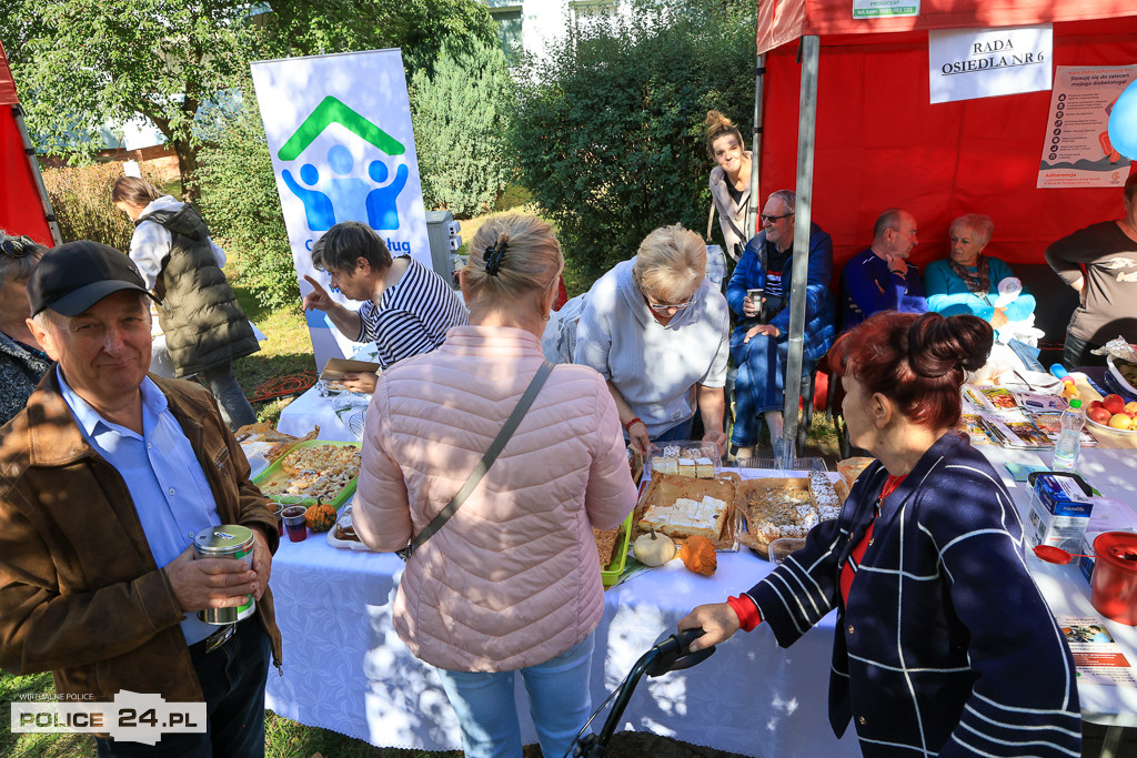 Piknik Organizacji Pozarządowych w Policach