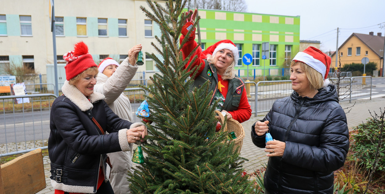 NieZwykła Choinka w Niekłończycy