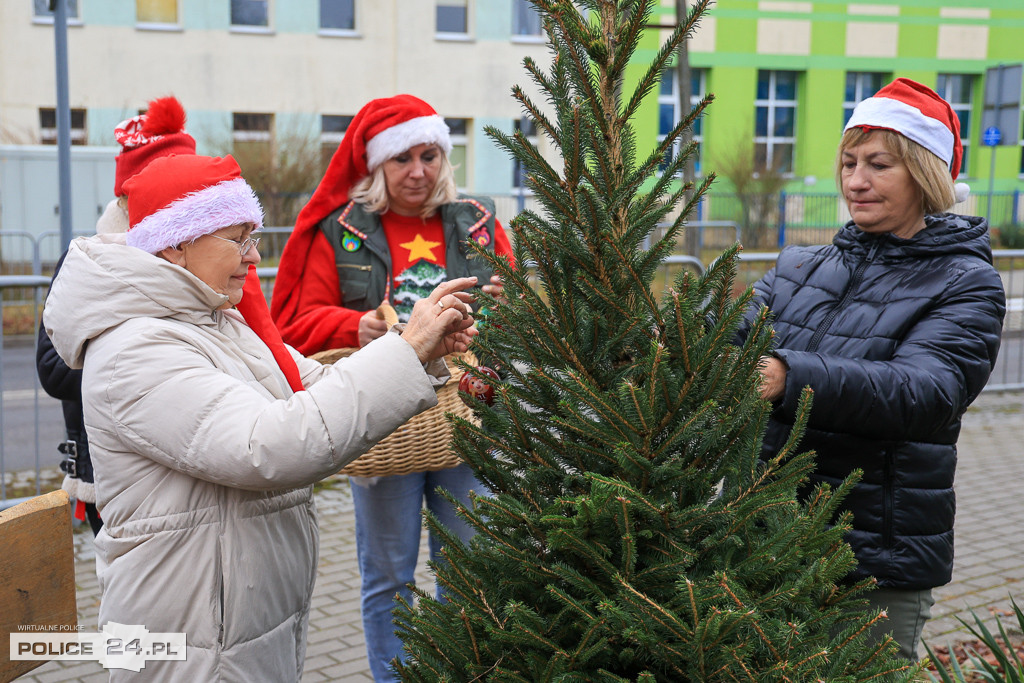 NieZwykła Choinka w Niekłończycy