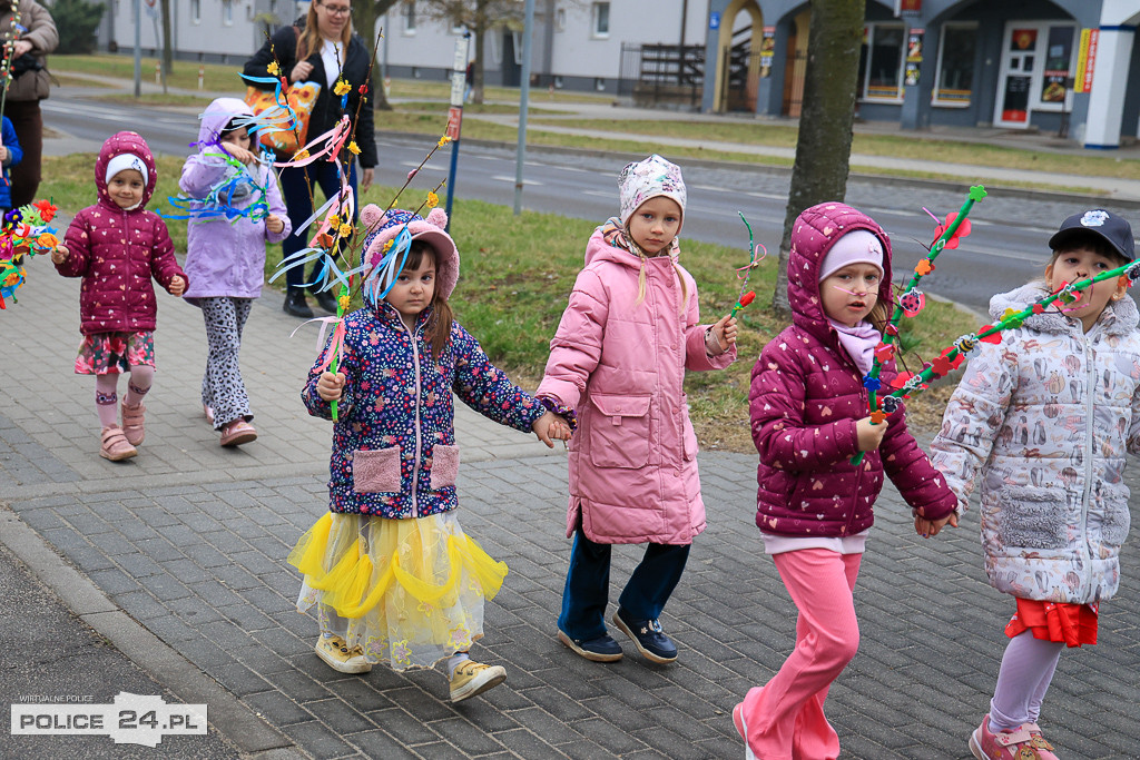 Wiosna! Barwne korowody dzieci przeszły ulicami Police