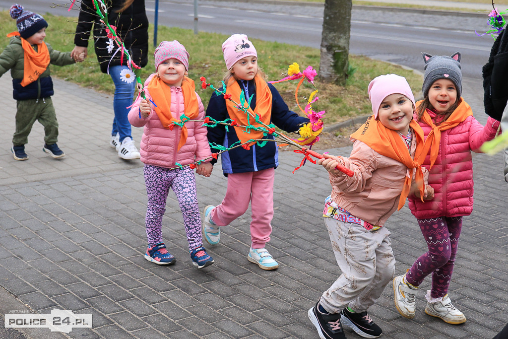 Wiosna! Barwne korowody dzieci przeszły ulicami Police