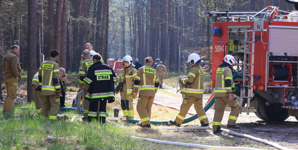 Wielkoobszarowy pożar Puszczy Wkrzańskiej