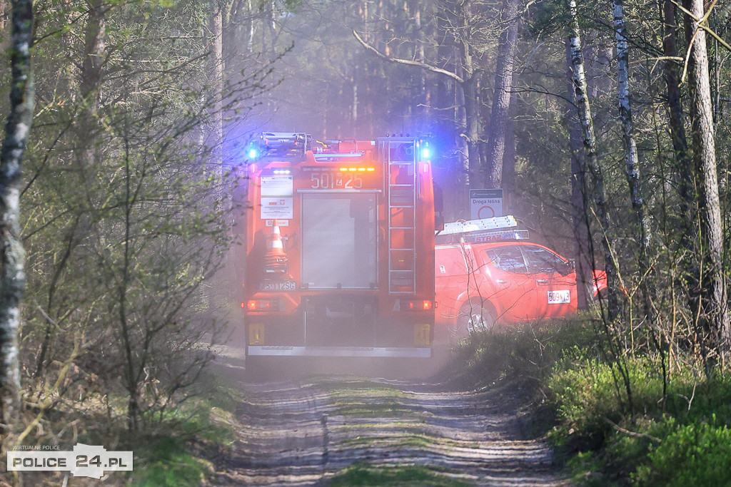 Wielkoobszarowy pożar Puszczy Wkrzańskiej