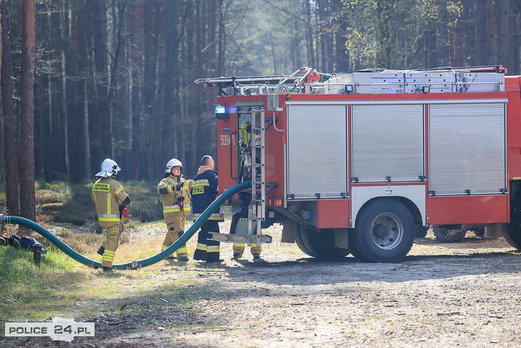 Wielkoobszarowy pożar Puszczy Wkrzańskiej