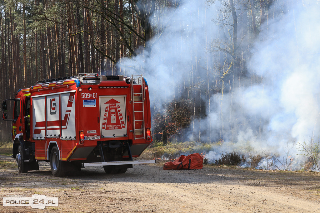 Wielkoobszarowy pożar Puszczy Wkrzańskiej