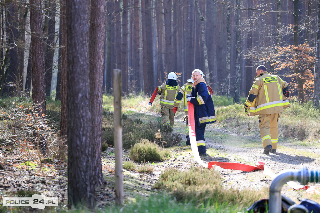 Wielkoobszarowy pożar Puszczy Wkrzańskiej