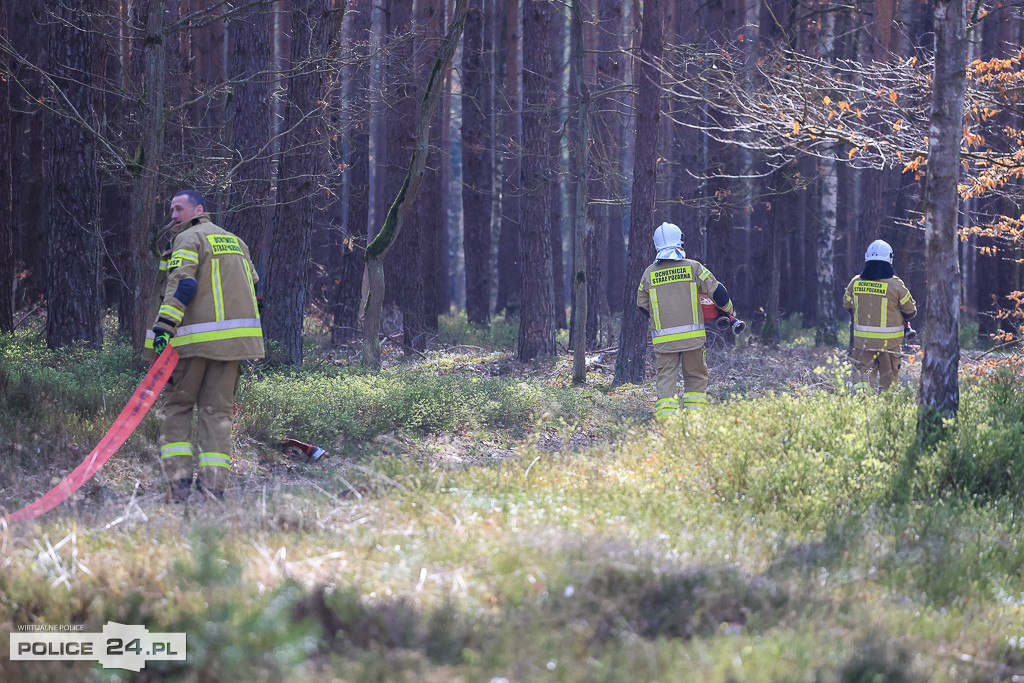Wielkoobszarowy pożar Puszczy Wkrzańskiej