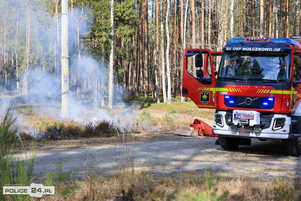 Wielkoobszarowy pożar Puszczy Wkrzańskiej