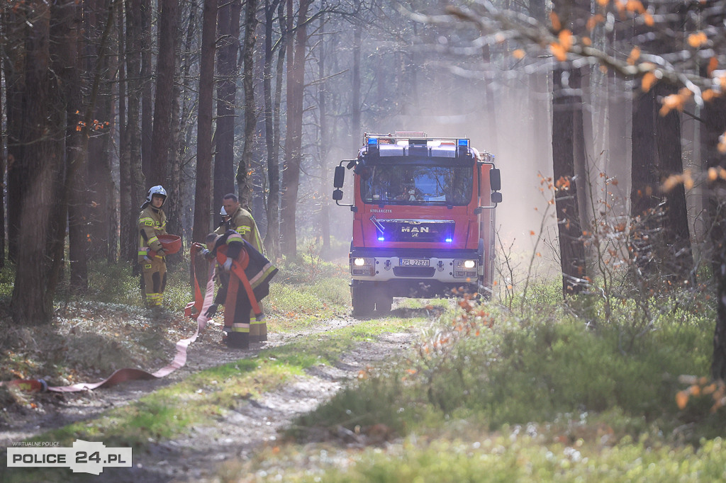 Wielkoobszarowy pożar Puszczy Wkrzańskiej