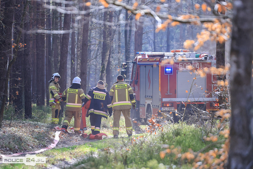 Wielkoobszarowy pożar Puszczy Wkrzańskiej