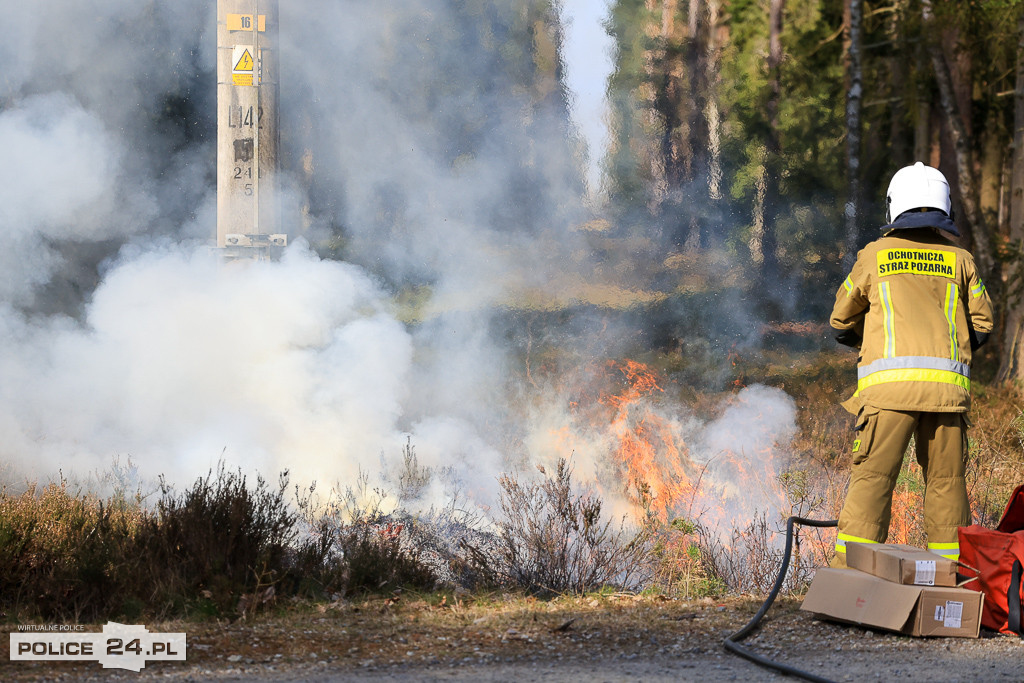 Wielkoobszarowy pożar Puszczy Wkrzańskiej