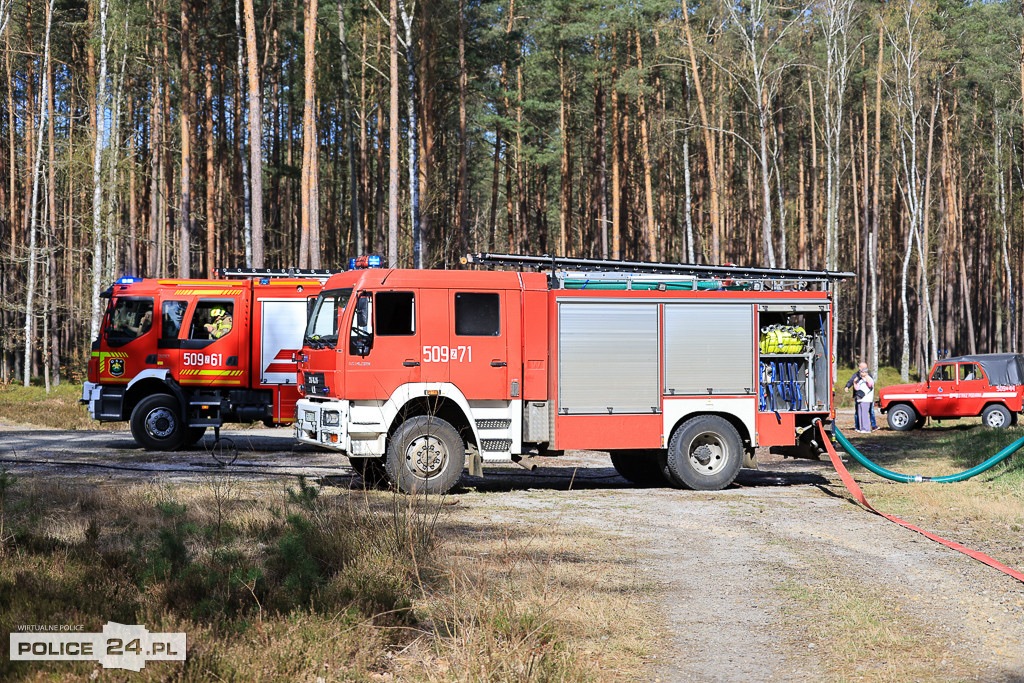 Wielkoobszarowy pożar Puszczy Wkrzańskiej