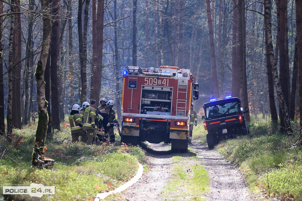 Wielkoobszarowy pożar Puszczy Wkrzańskiej