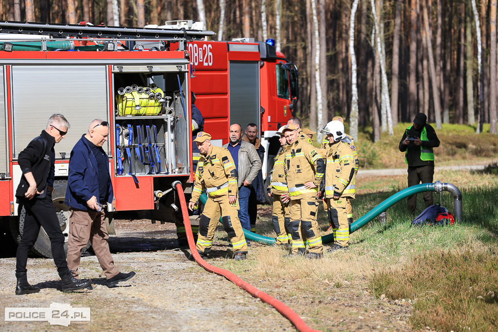 Wielkoobszarowy pożar Puszczy Wkrzańskiej